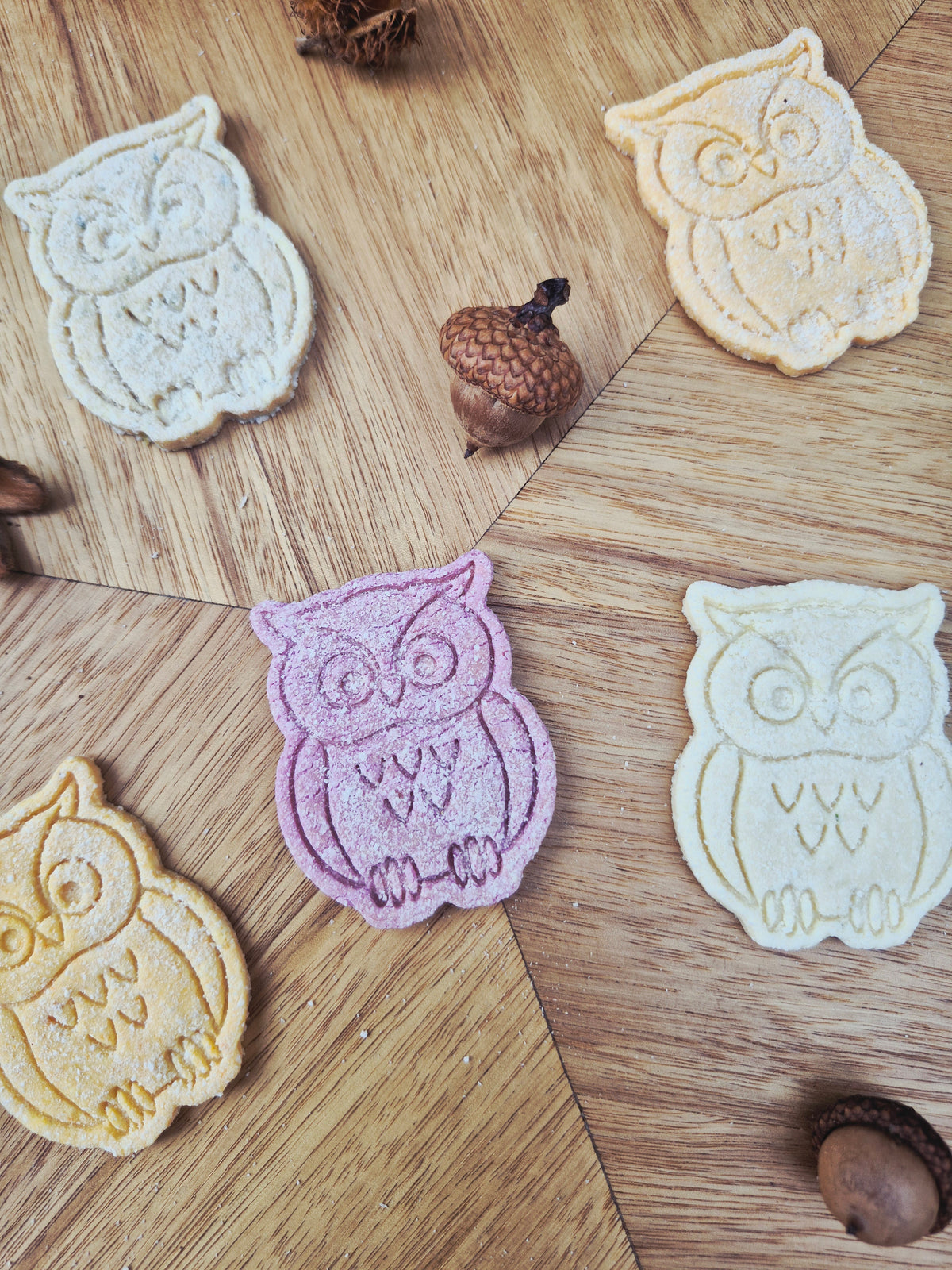 Peter the Owl 🦉