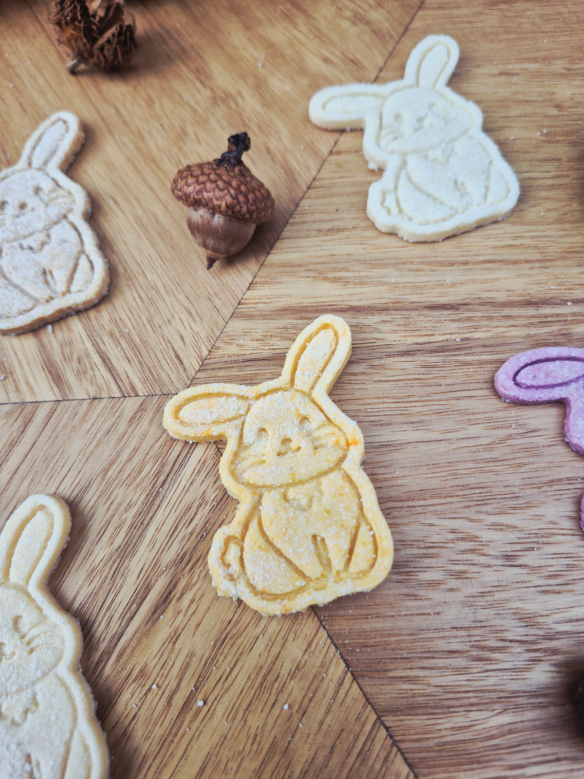 Diana the Rabbit 🐰