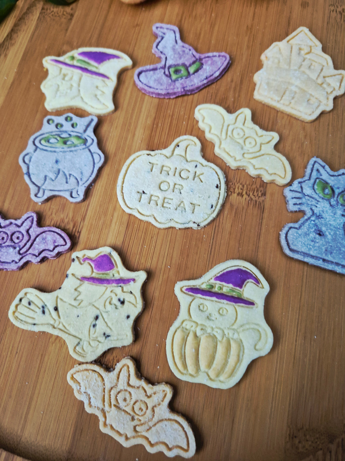 Bats, Cats & Witchy Hats 🔮