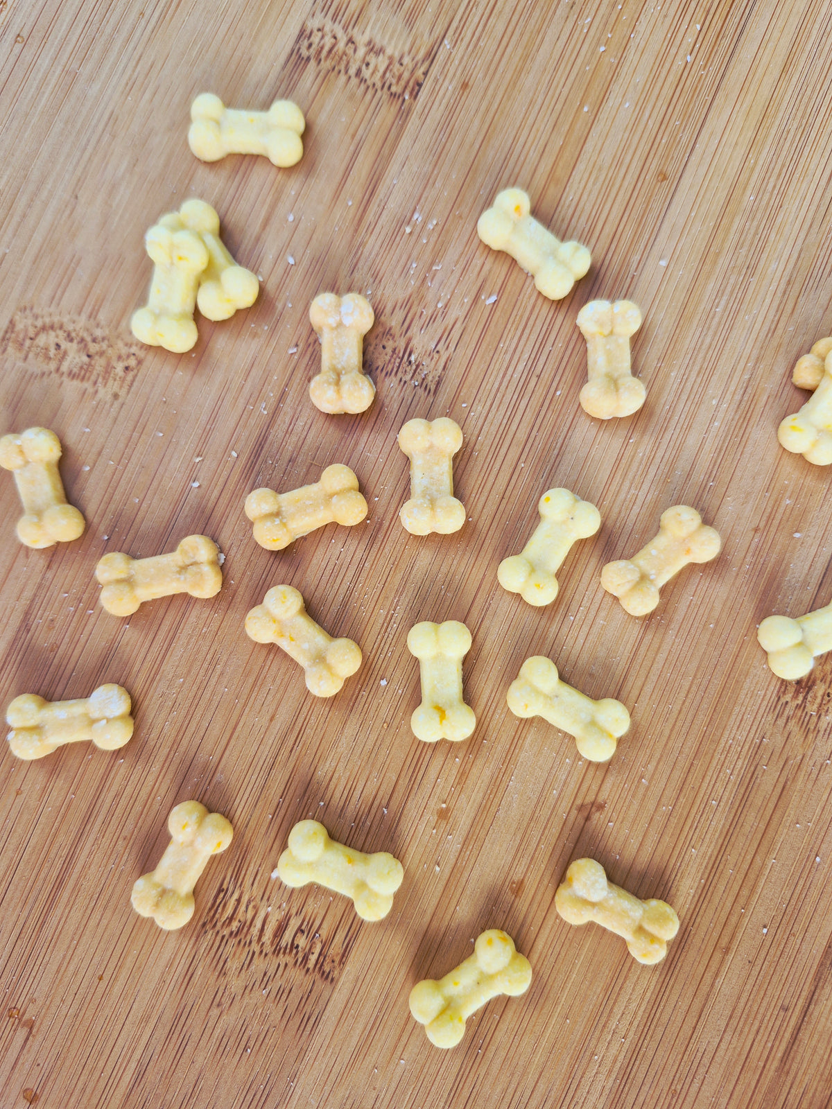 Teeny Tiny Bones🦴
