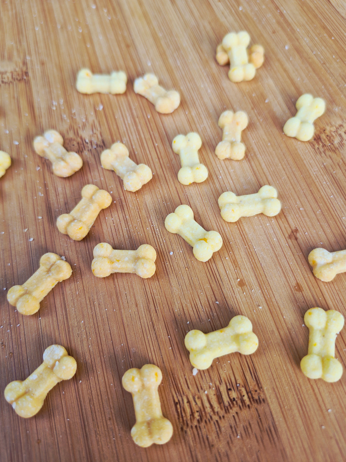 Teeny Tiny Bones🦴