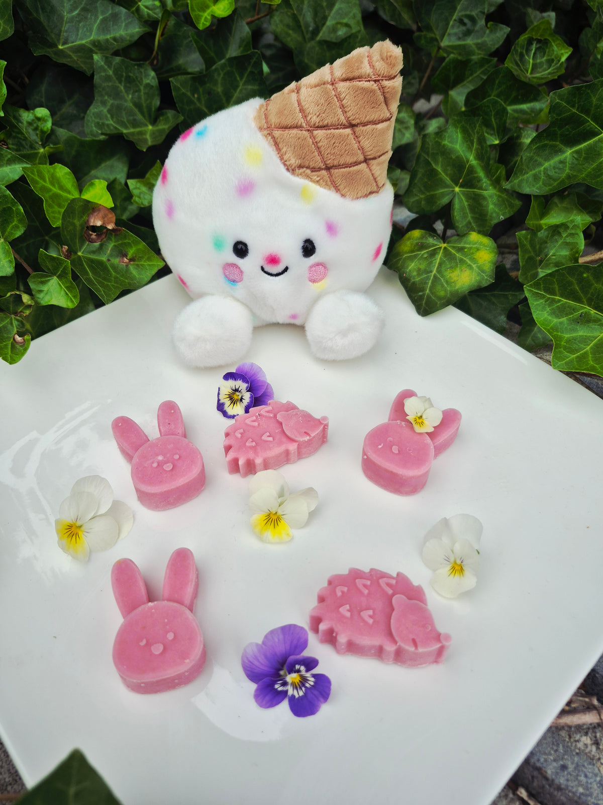 💗Framboos💗