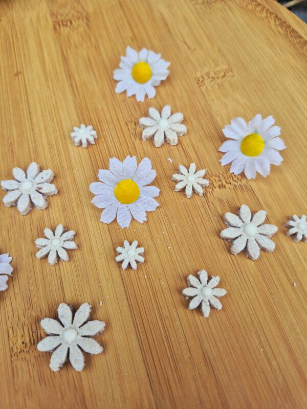 Bloomies 🌸