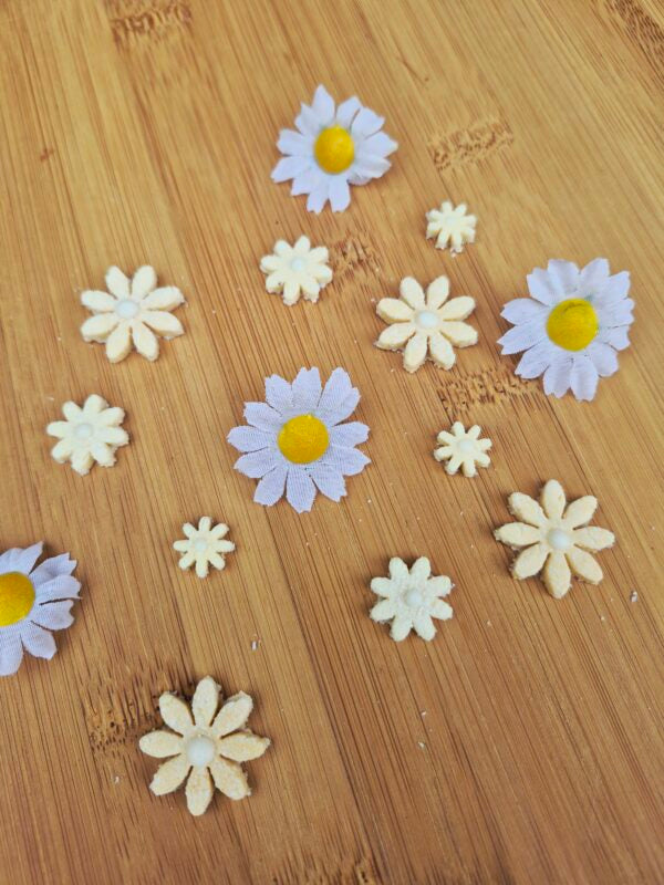 Bloomies 🌸