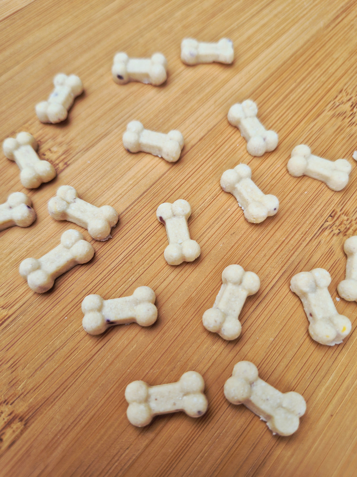 Teeny Tiny Bones🦴