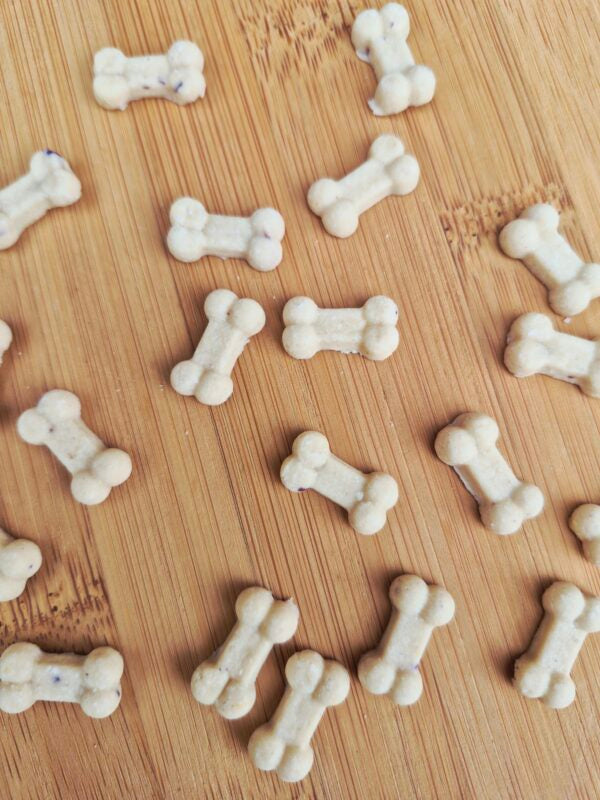 Teeny Tiny Bones🦴