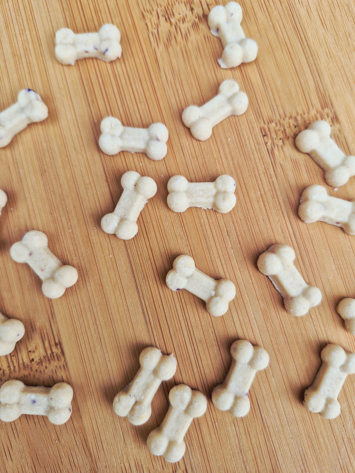 Teeny Tiny Bones🦴