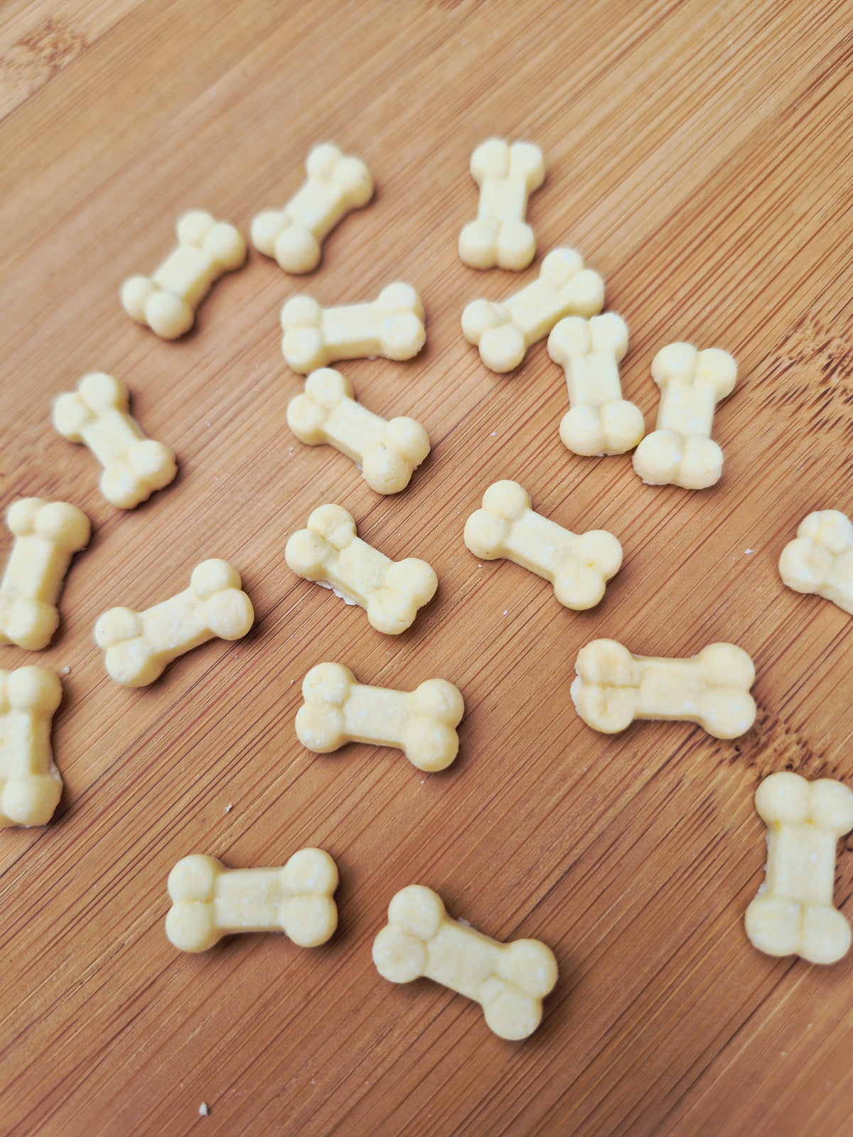 Teeny Tiny Bones🦴