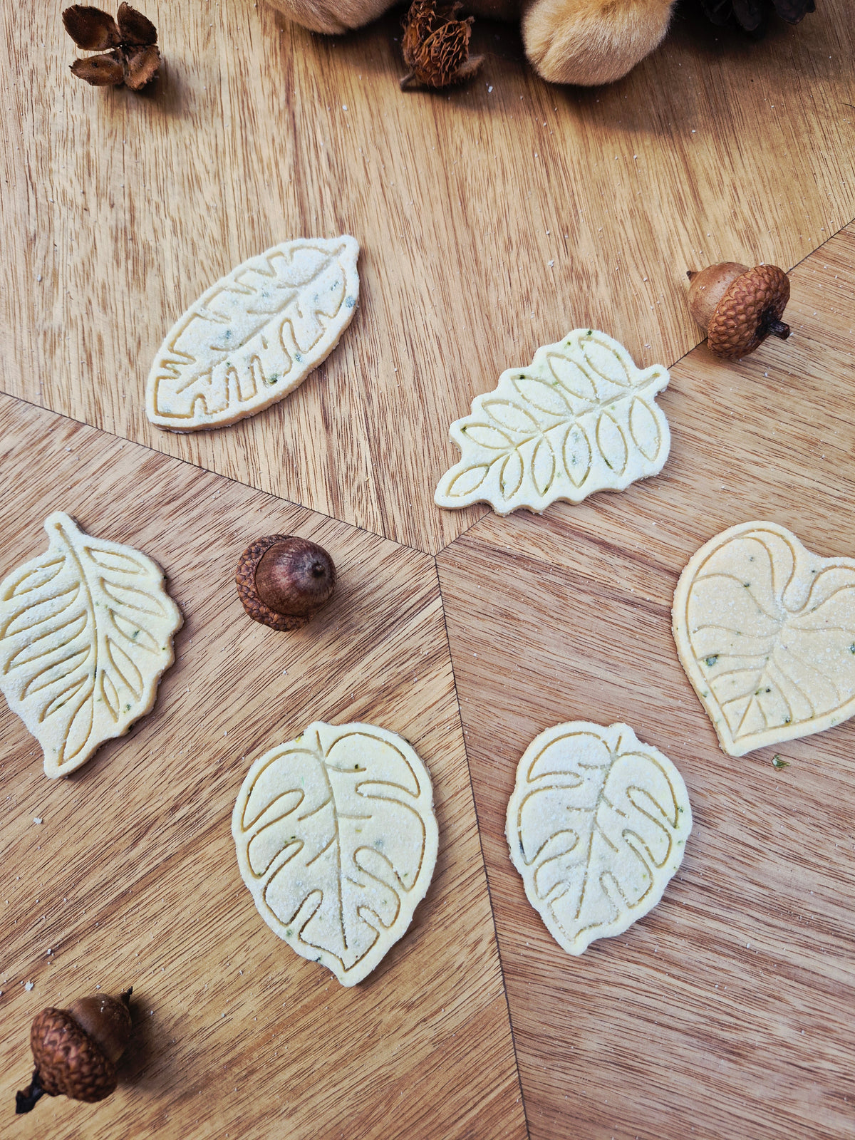 Autumn Leaves Courgette 🍂