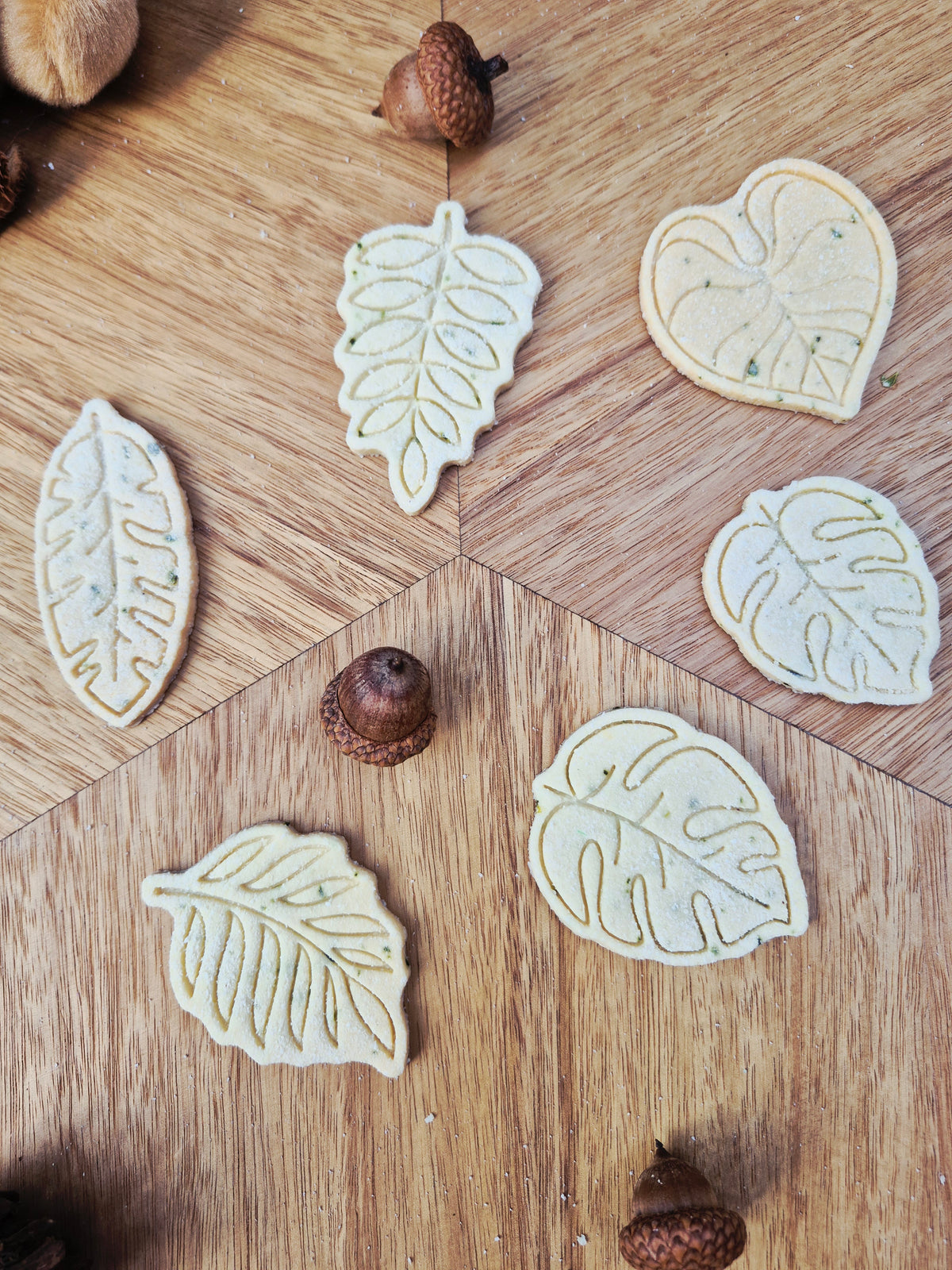 Autumn Leaves Courgette 🍂