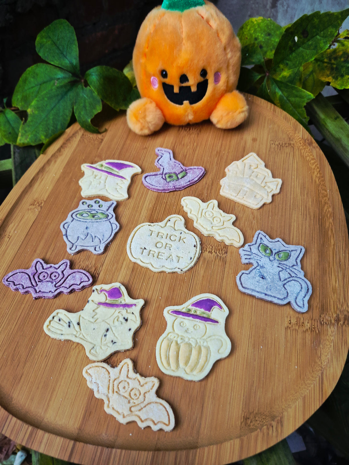 Bats, Cats & Witchy Hats 🔮
