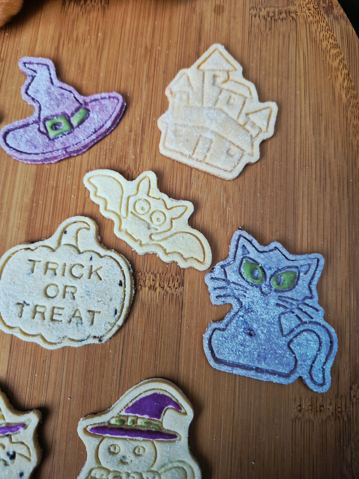 Bats, Cats & Witchy Hats 🔮