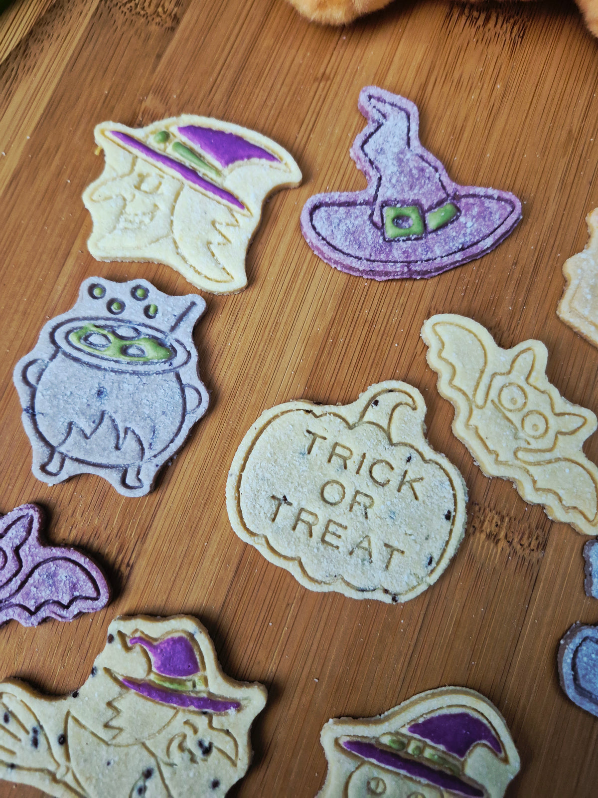 Bats, Cats & Witchy Hats 🔮