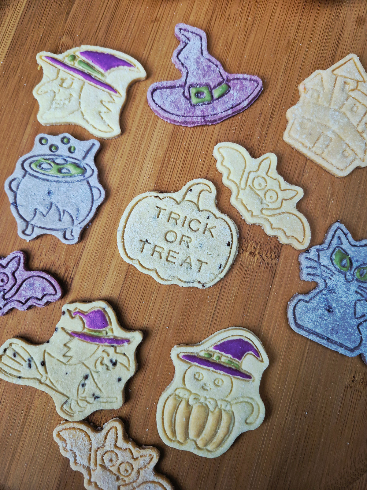 Bats, Cats & Witchy Hats 🔮