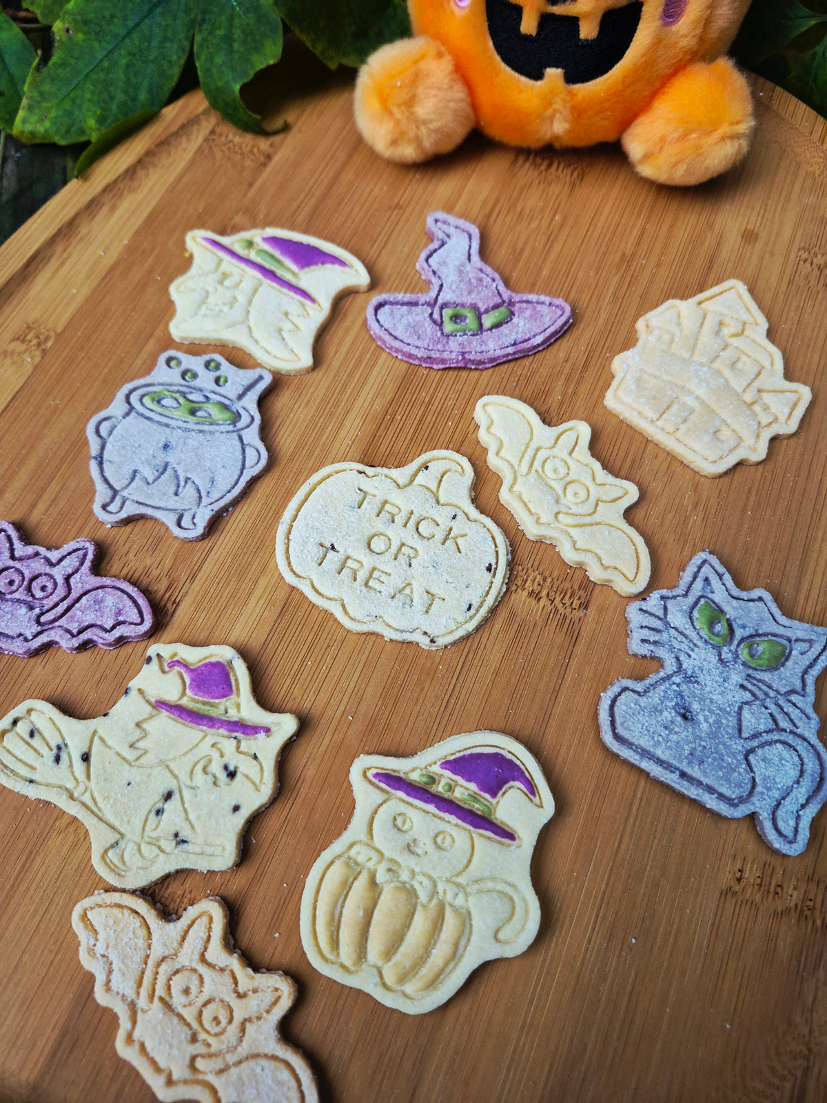 Bats, Cats & Witchy Hats 🔮