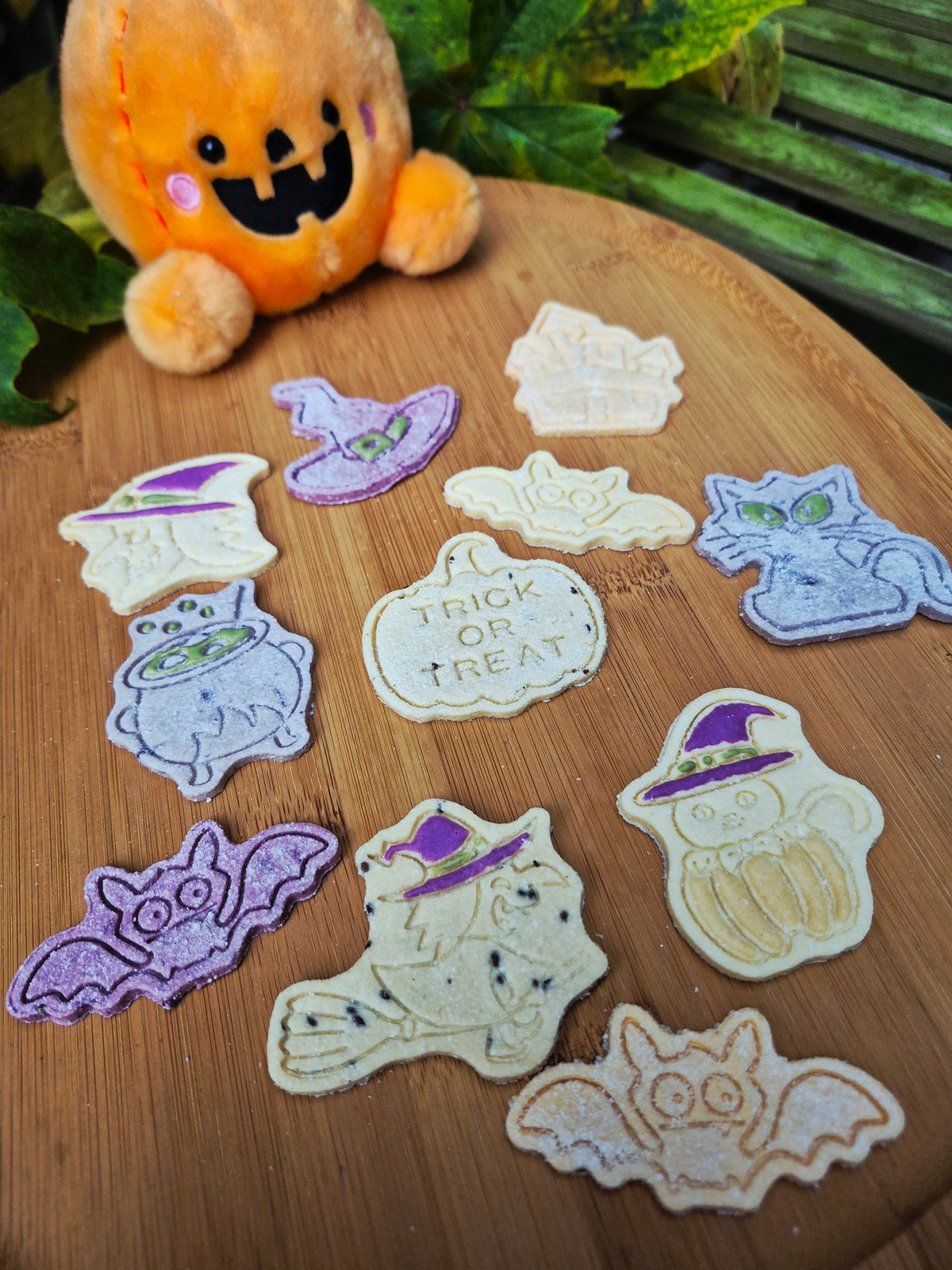 Bats, Cats & Witchy Hats 🔮
