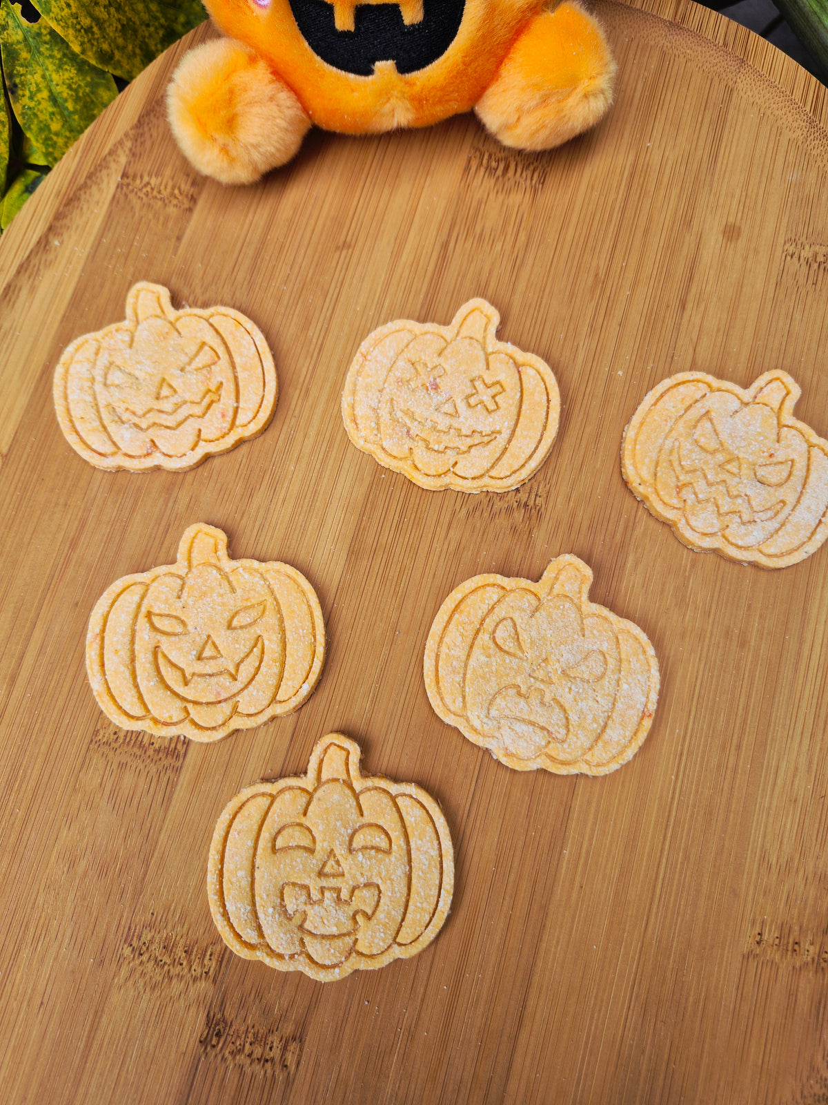 The Mad Jacks 🎃