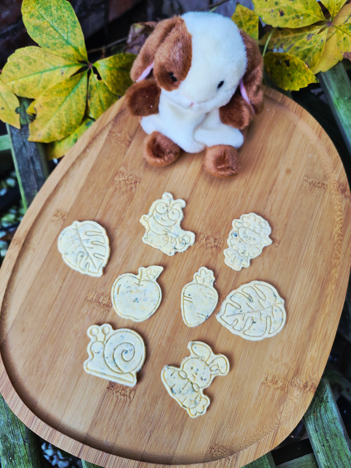 Wundergarden Koekje 🌿