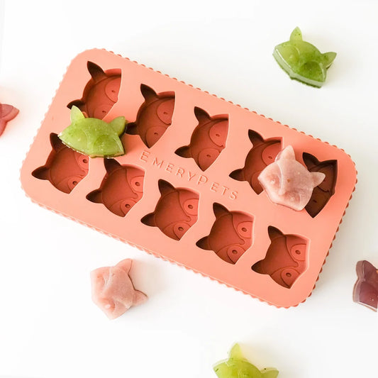 🦊🦝 Fox & Raccoon Treat Mold 🦝🦊