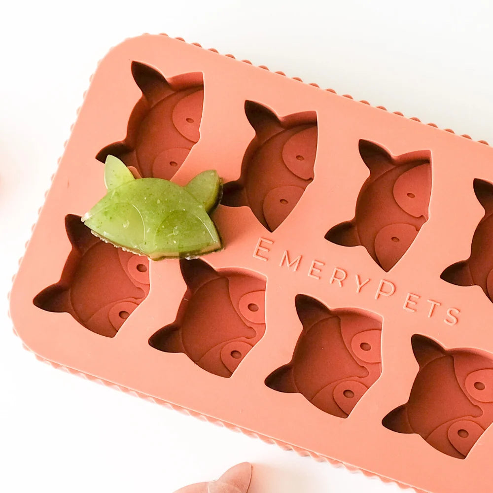 🦊🦝 Fox & Raccoon Treat Mold 🦝🦊