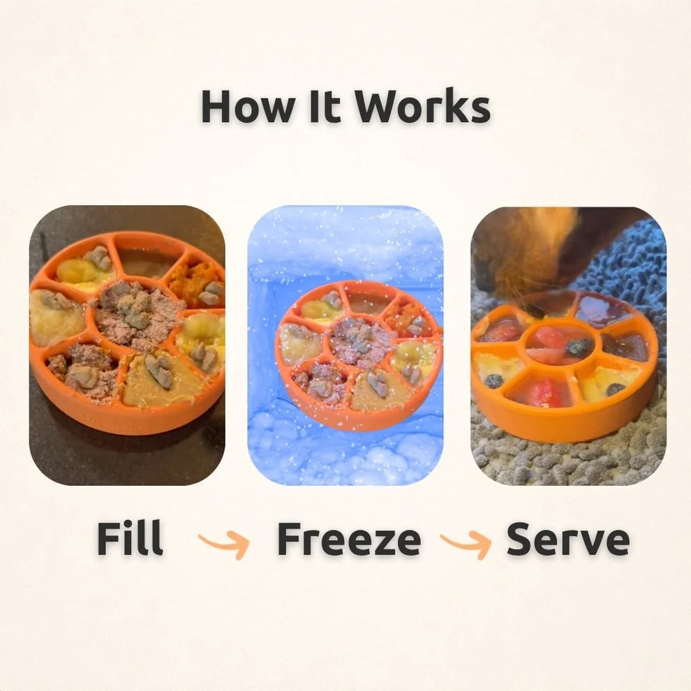 FreezWheel 🛞