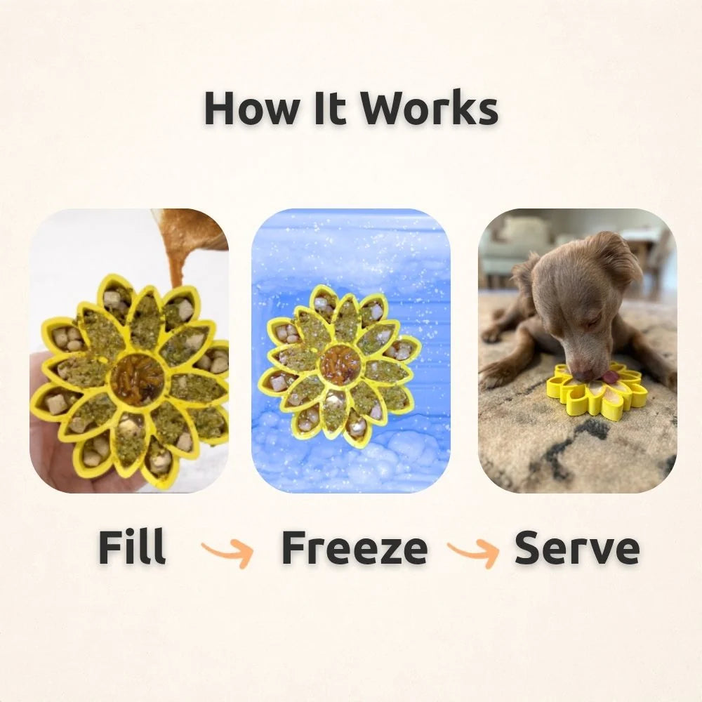 FreezSunflower 🌻