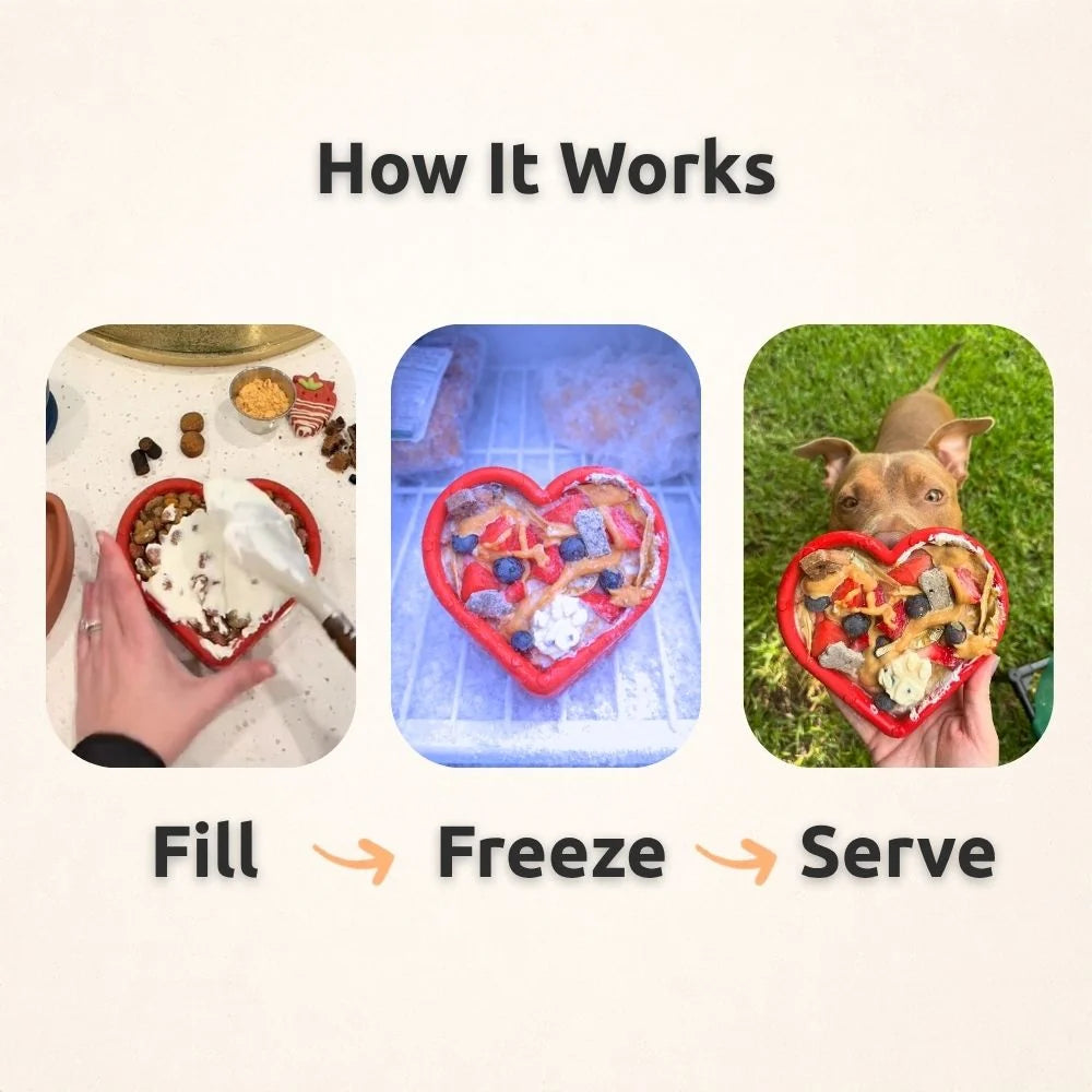 FreezHeart 💕