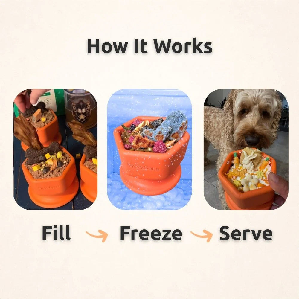 FreezCup 🍨
