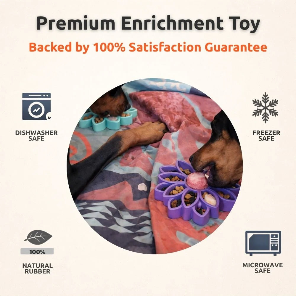 FreezSunflower 🌻