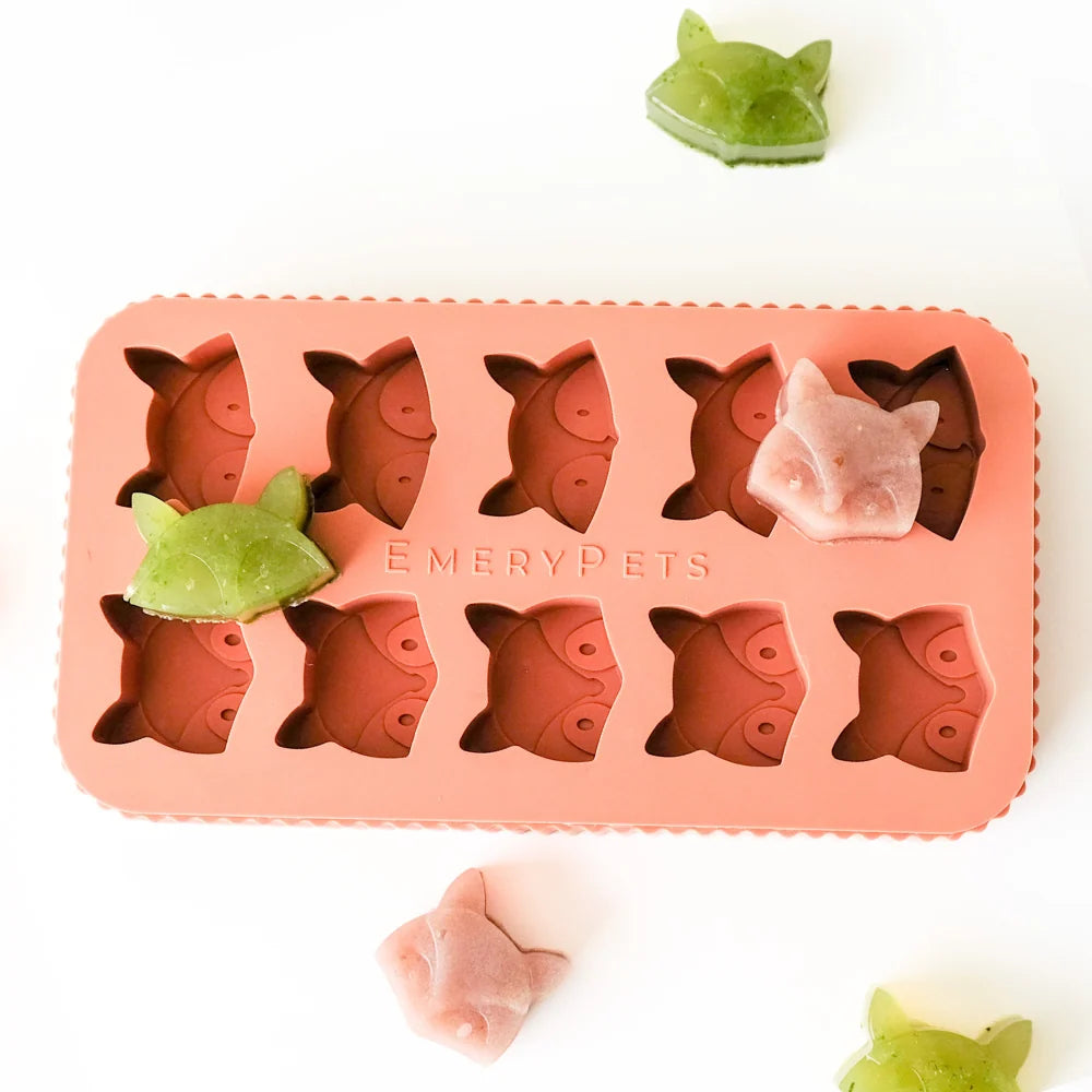 🦊🦝 Fox & Raccoon Treat Mold 🦝🦊