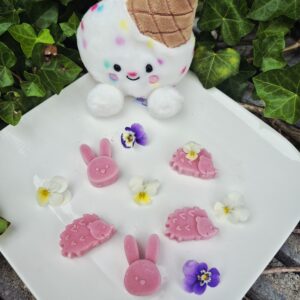 Gelato Scoops Framboos hondenijsjes op basis van geitenmelk in schattige konijnen- en egelvormen, gepresenteerd op een wit bord met eetbare viooltjes en een vrolijke ijsjesknuffel op de achtergrond.