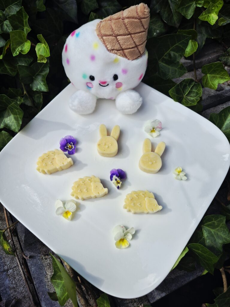 Gelato Scoops Pompoen hondenijsjes op basis van geitenmelk in schattige konijnen- en egeltjesvormen, gepresenteerd op een wit bord met eetbare viooltjes en een vrolijke ijsjesknuffel op de achtergrond.