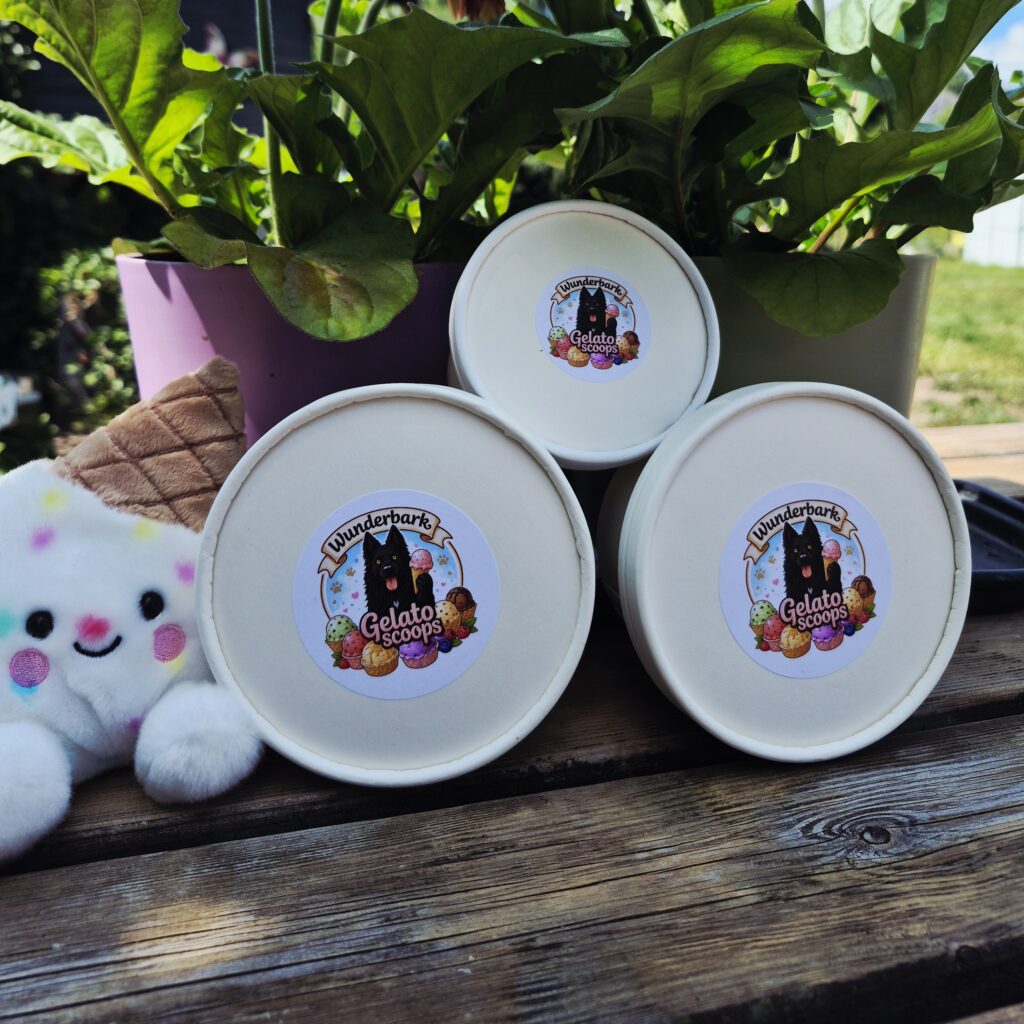 Gelato Scoops hondenijsmix van Wunderbark Pawstry in drie formaten, gepresenteerd op een houten tafel tussen kleurrijke bloemen en een schattig ijsjesknuffeltje. De natuurlijke ijsmix op basis van geitenmelk is eenvoudig te bereiden en zorgt voor een verkoelend verwenmoment voor honden.