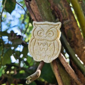 Peter the Owl 🦉