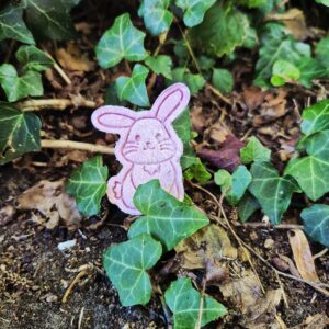 Diana the Rabbit 🐰