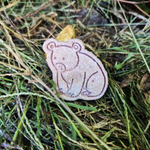 Boris the Bear 🐻