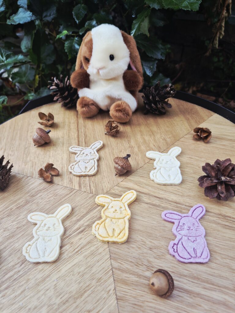 Tessa the Rabbit hondenkoekjes in de vorm van een schattig konijntje, speels gepresenteerd met eikels en dennenappels.
