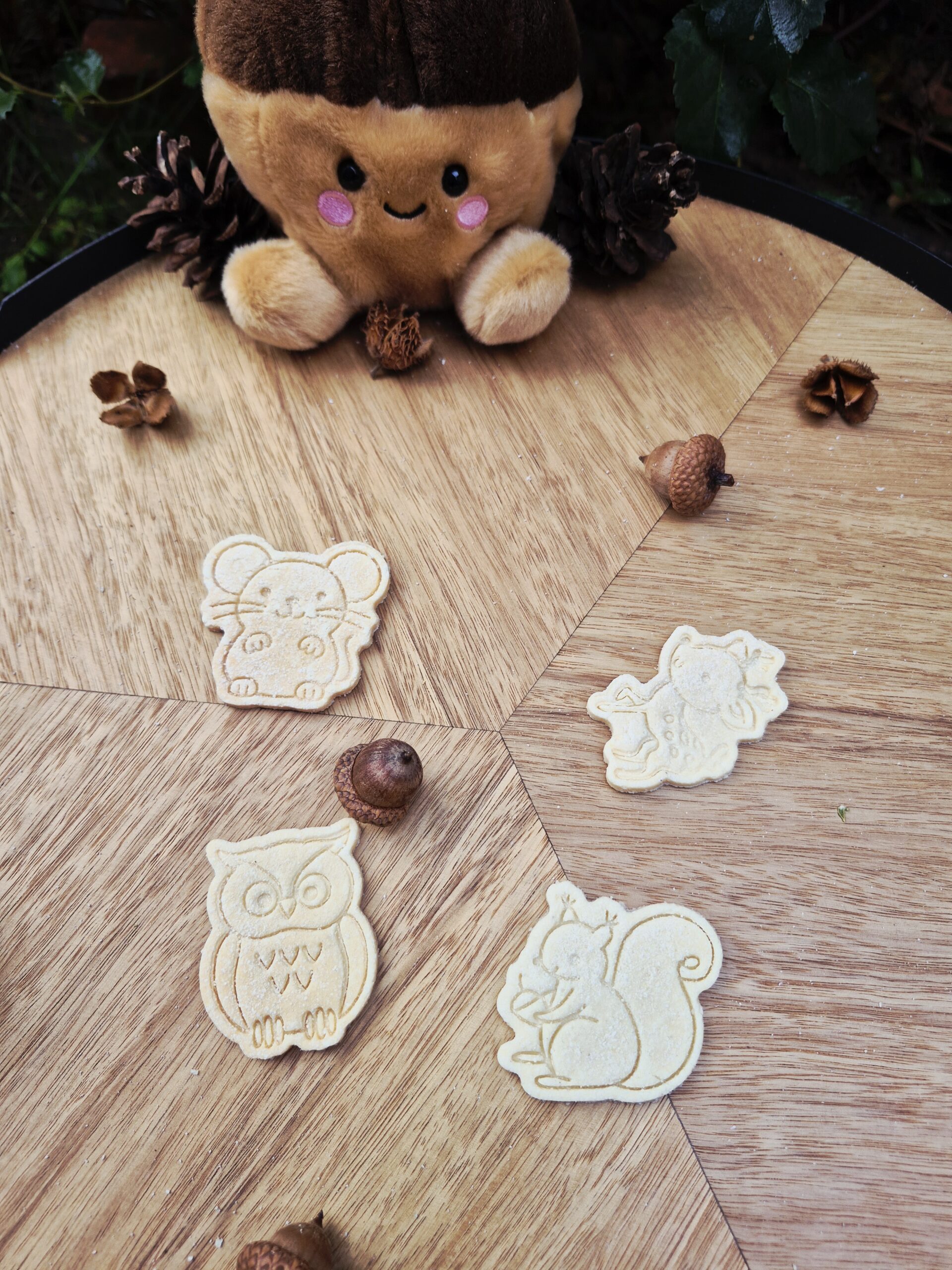 Forest Furriends Furrever hondenkoekjes in de vorm van een konijn, muis, uil en vos, in roze en paarse tinten, gepresenteerd op een houten tafel met eikels en dennenappels in een sfeervolle herfstsetting.