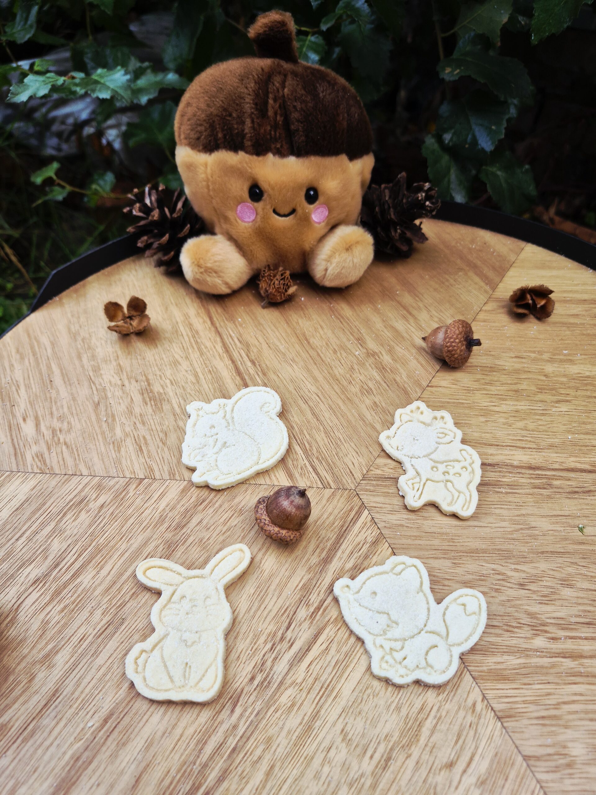 Forest Furriends Furrever hondenkoekjes in de vorm van een konijn, muis, uil en vos, in roze en paarse tinten, gepresenteerd op een houten tafel met eikels en dennenappels in een sfeervolle herfstsetting.