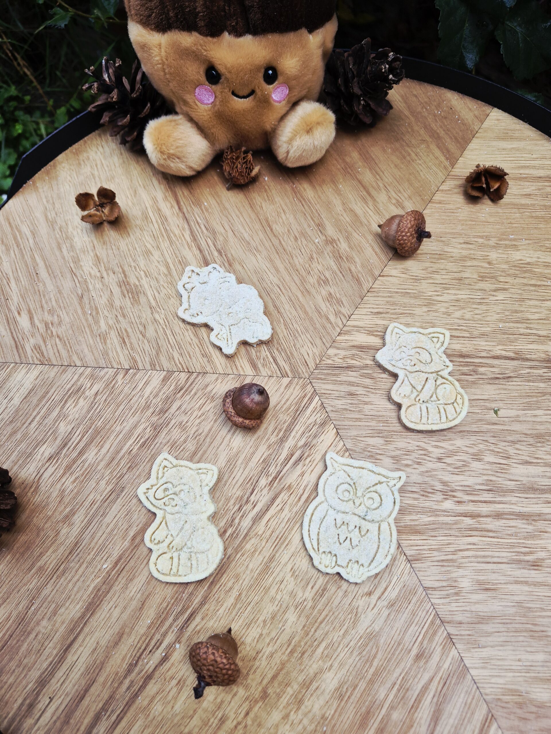 Forest Furriends Furrever hondenkoekjes in de vorm van een konijn, muis, uil en vos, in roze en paarse tinten, gepresenteerd op een houten tafel met eikels en dennenappels in een sfeervolle herfstsetting.