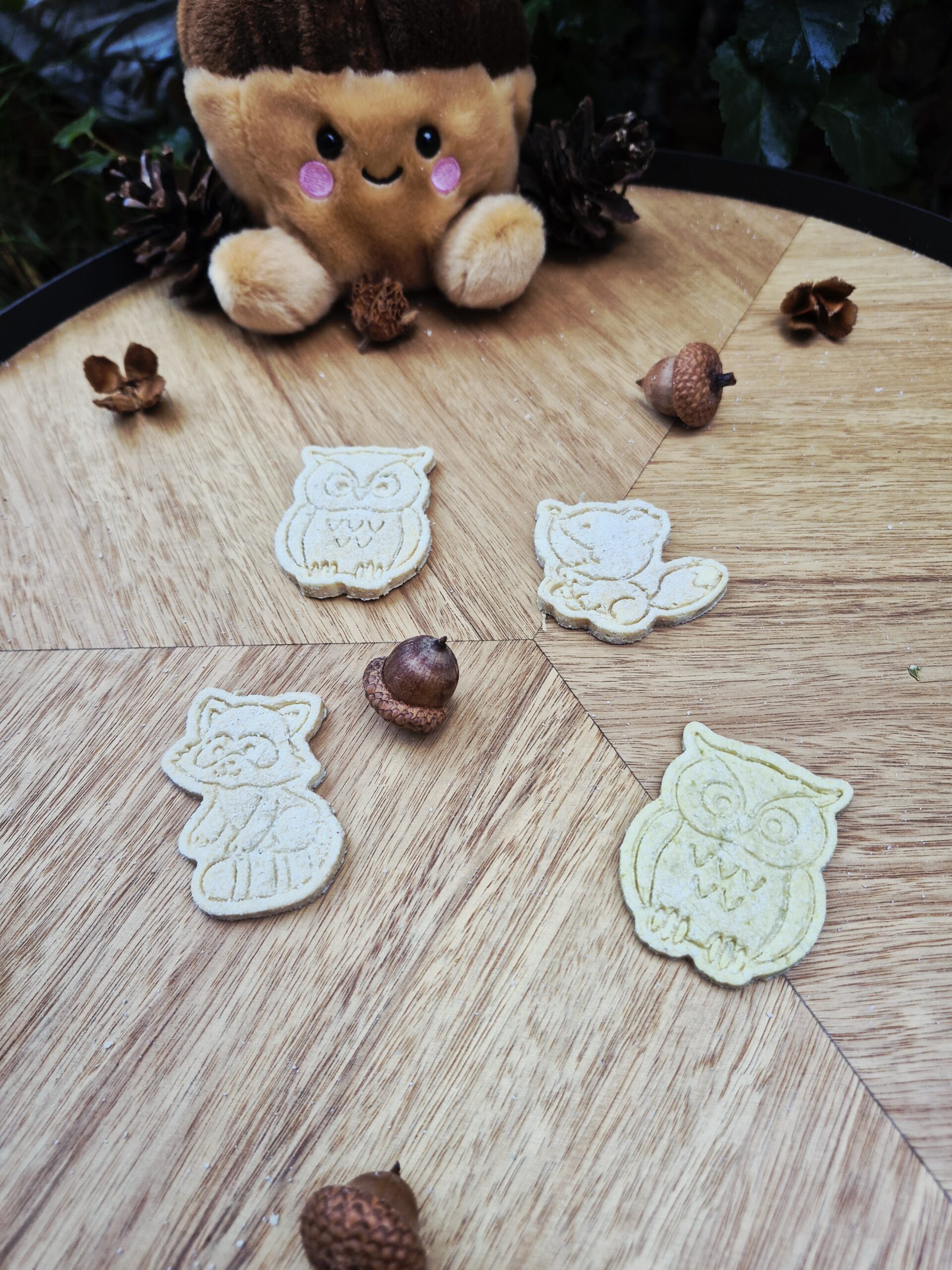 Forest Furriends Furrever hondenkoekjes in de vorm van een konijn, muis, uil en vos, in roze en paarse tinten, gepresenteerd op een houten tafel met eikels en dennenappels in een sfeervolle herfstsetting.