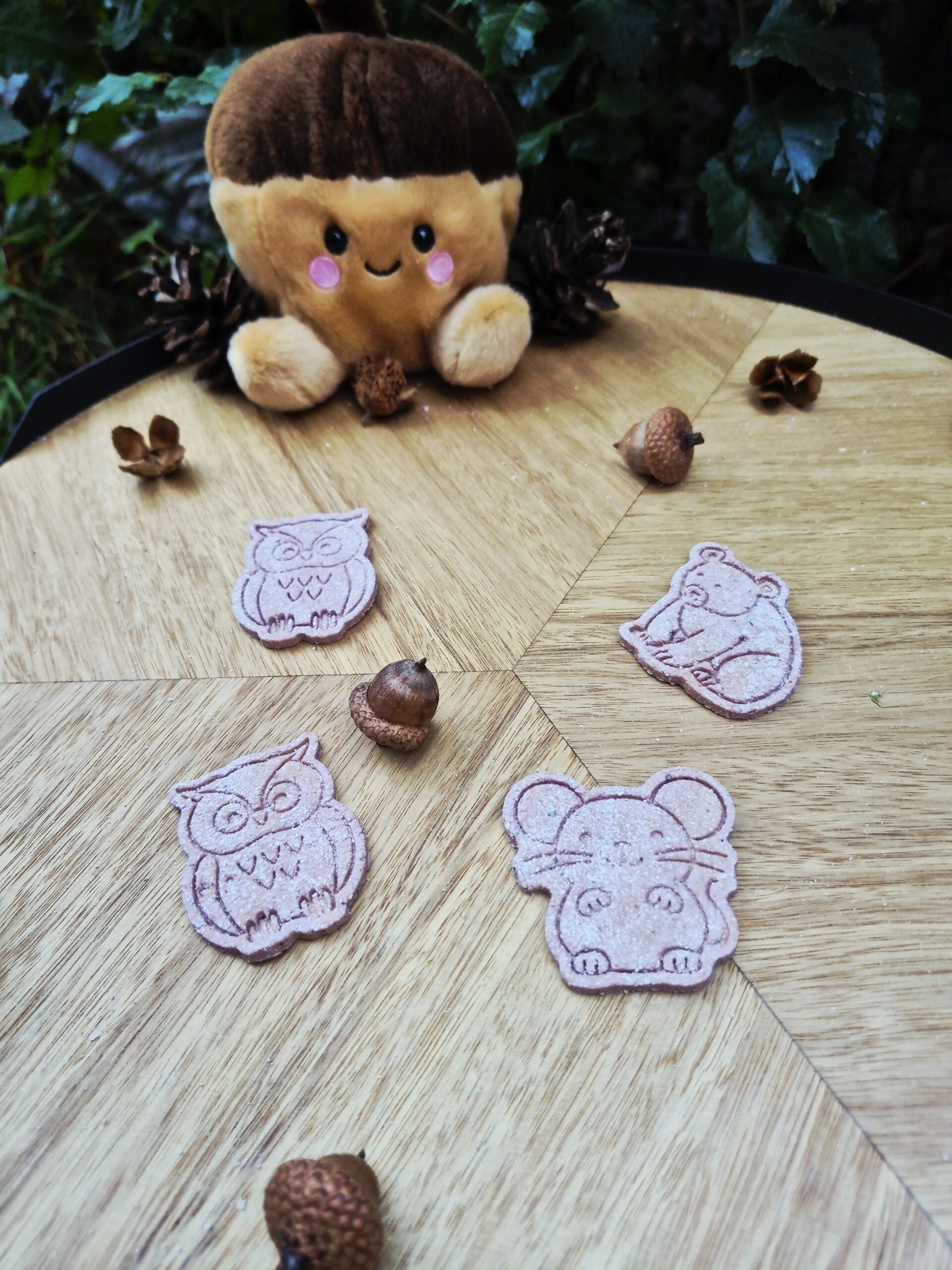 Forest Furriends Furrever hondenkoekjes in de vorm van een konijn, muis, uil en vos, in roze en paarse tinten, gepresenteerd op een houten tafel met eikels en dennenappels in een sfeervolle herfstsetting.